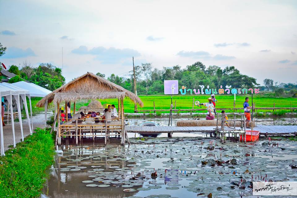 ตลาดน้ำ ตลาดน้ำสายลมชมบัว ที่เที่ยวระยอง เที่ยวตลาดน้ำ เที่ยวระยอง