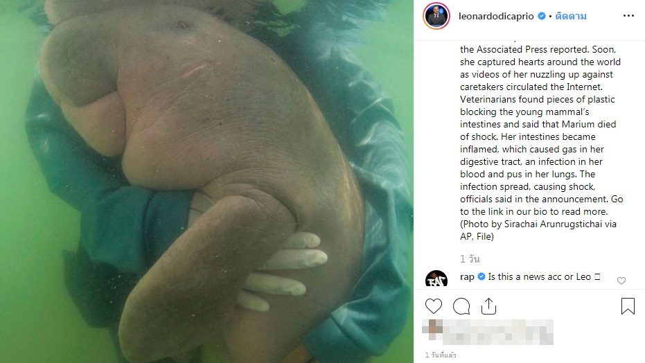 น้องมาเรียม พะยูน ลีโอนาร์โด ดิแคพรีโอ ฮอลลีวูด