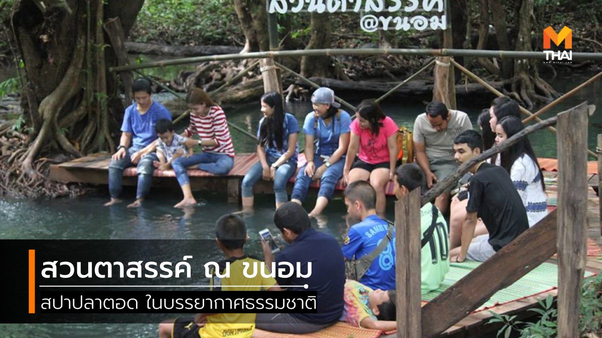 ที่เที่ยวขนอม ที่เที่ยวธรรมชาติ ที่เที่ยวนครศรีธรรมราช นครศรีธรรมราช สปาปลา สวนตาสรรค์ เที่ยวนครศรีธรรมราช