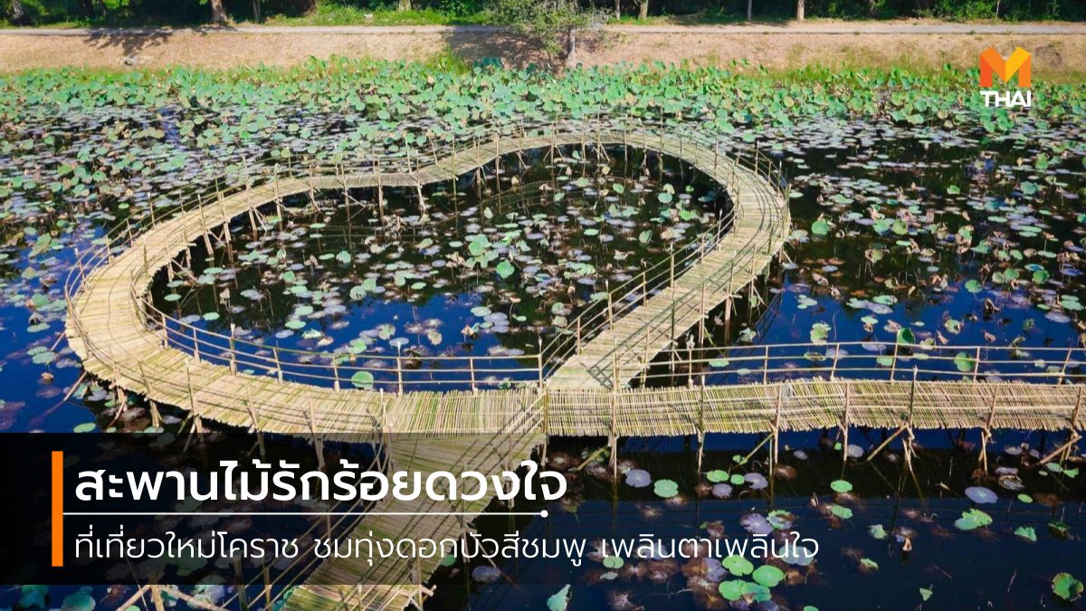 ที่เที่ยวนครราชสีมา ที่เที่ยวโคราช ที่เที่ยวใกล้กรุงเทพ สะพานไม้ สะพานไม้รักร้อยดวงใจ เที่ยวโคราช