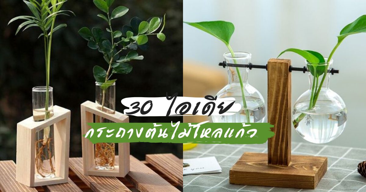diy กระถางต้นไม้ กระถางต้นไม้ ต้นไม้จิ๋ว ต้นไม้ฟอกอากาศ
