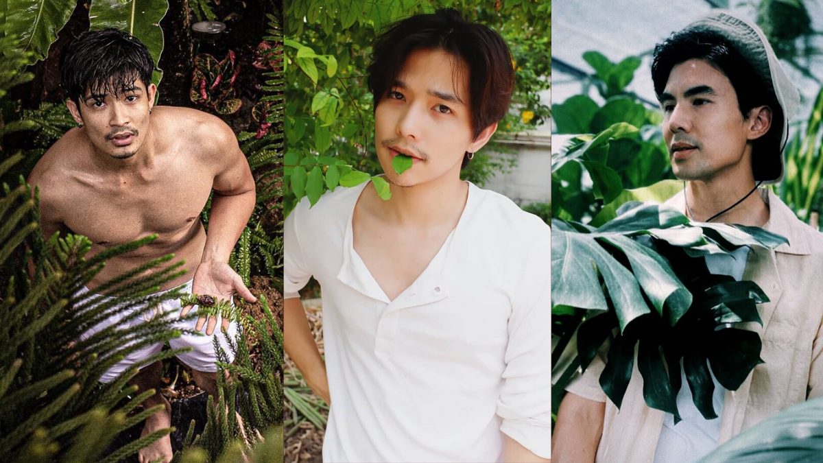 ต้นไม้ดารา ต้นไม้ฟอกอากาศ ท่าโพสต์ เทคนิคถ่ายรูป