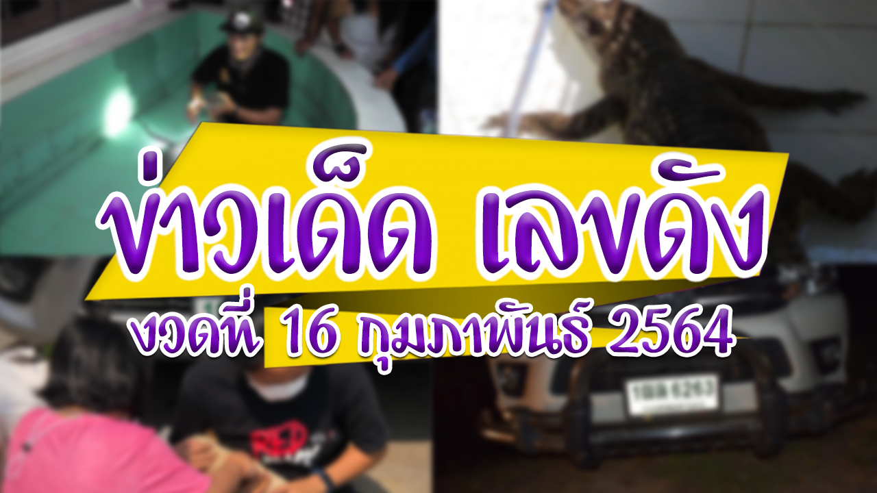 ข่าวหวย ข่าวหวยแม่นๆ งูเข้าบ้าน จระเข้เข้าบ้าน ตรวจหวย 16 กพ 64 ตายปาฏิหาริย์ ทะเบียนรถ ผลหวย 16 2 64 รวมข่าวหวย หวย 16 2 64 เลขจอมปลวก เลขประทัด