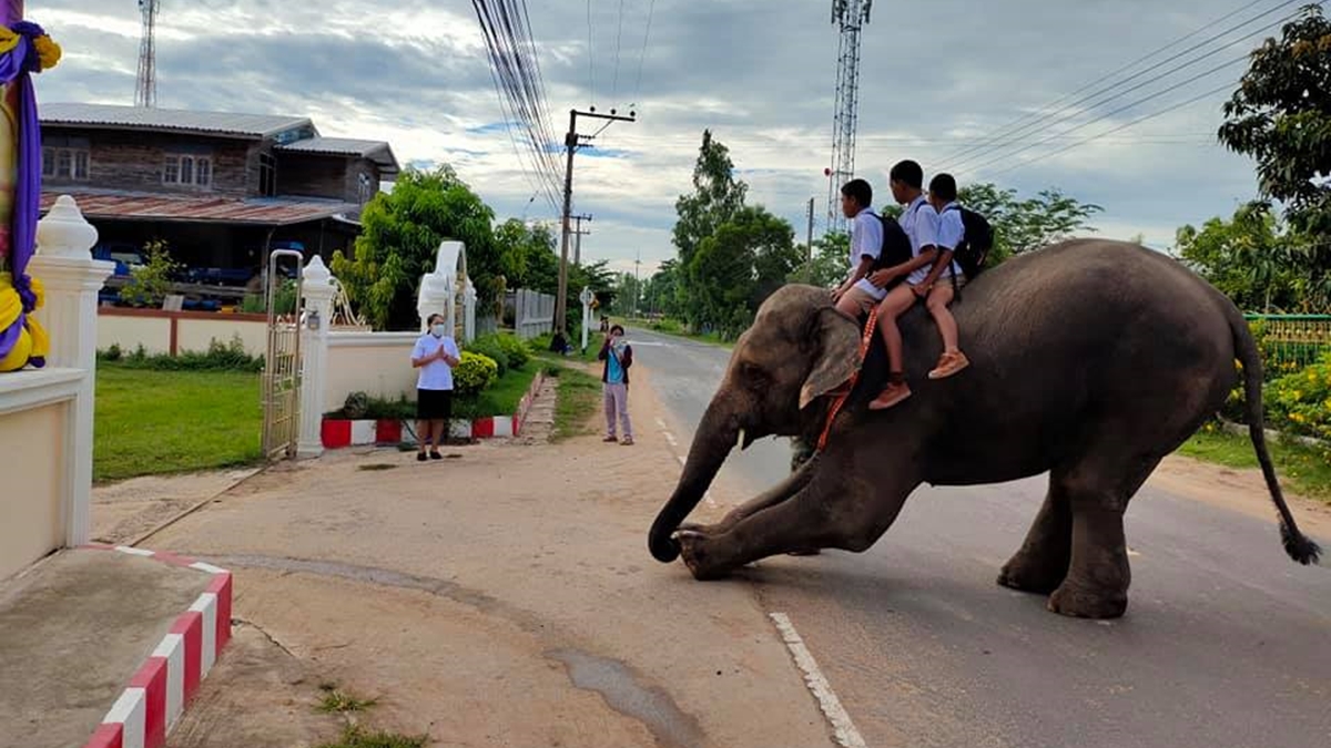 จังหวัดสุรินทร์ นักเรียน สีสันวันเปิดเทอม โรงเรียน