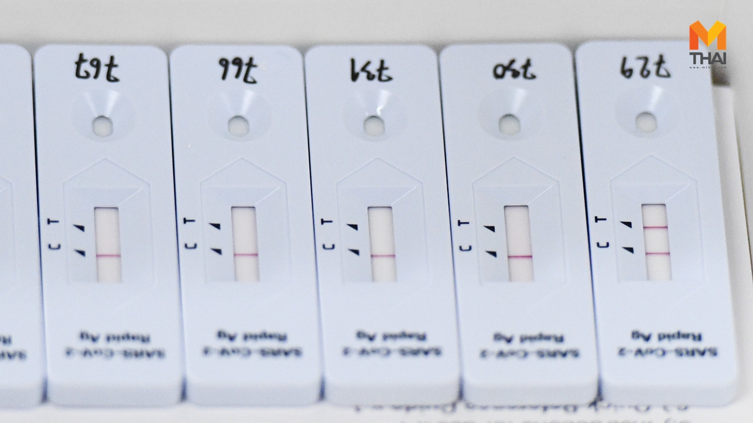 Antigen Test Kit ชุดตรวจโควิด