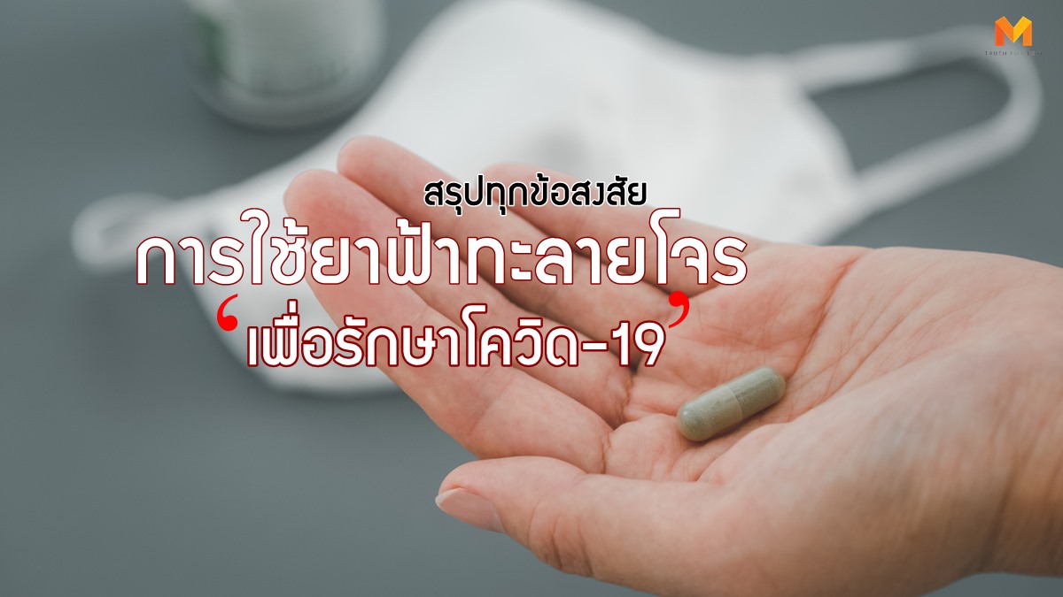 ฟ้าทะลายโจร ยารักษาโควิด-19 วิธีกินฟ้าทะลายโจร โควิด-19