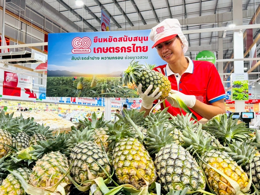 สับปะรถ แก้ปัญหาสับปะรด โก โฮลเซลล์