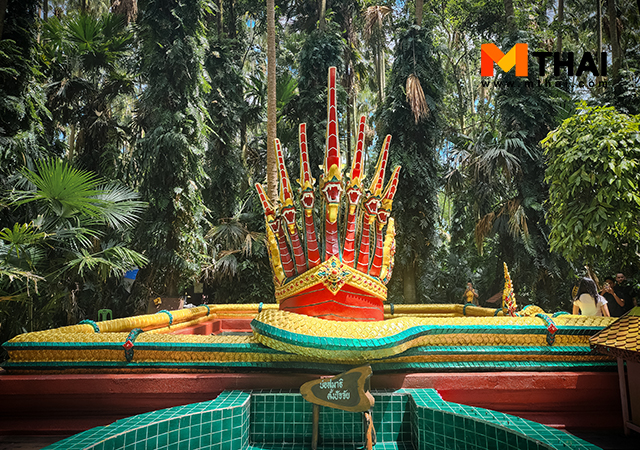 ป่าคำชะโนด ป่าคำชะโนด อุดรธานี พญานาค